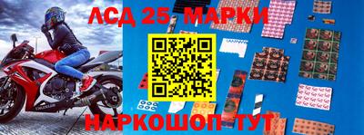 apvp Бийск