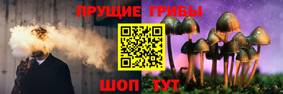 Галлюциногенные грибы MAGIC MUSHROOMS  наркотики  Карачаевск  Вход с VPN 