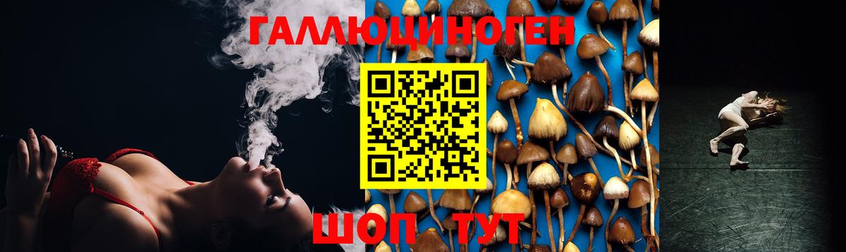 Псилоцибиновые грибы мухоморы Карачаевск